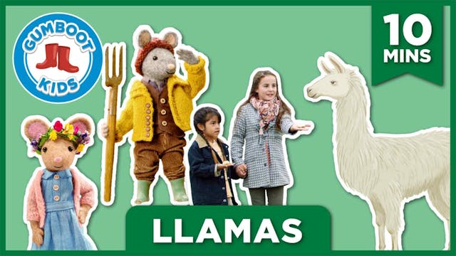 Llamas