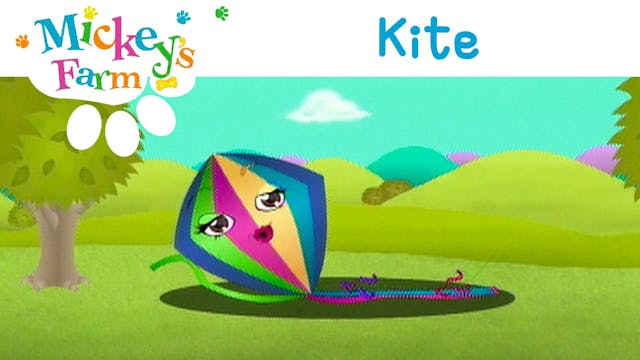 Kite