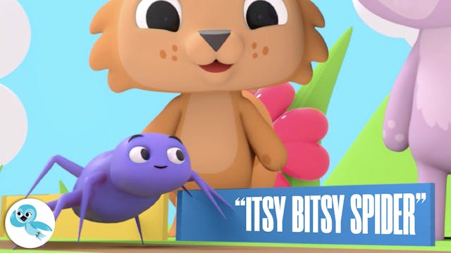 The Itsy Bitsy Spider