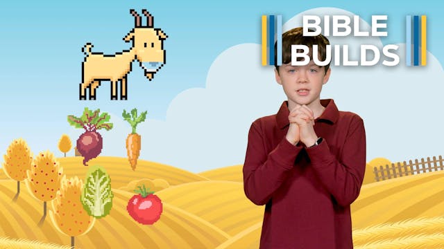 Bible Builds #10 - The Sacrificial Sy...