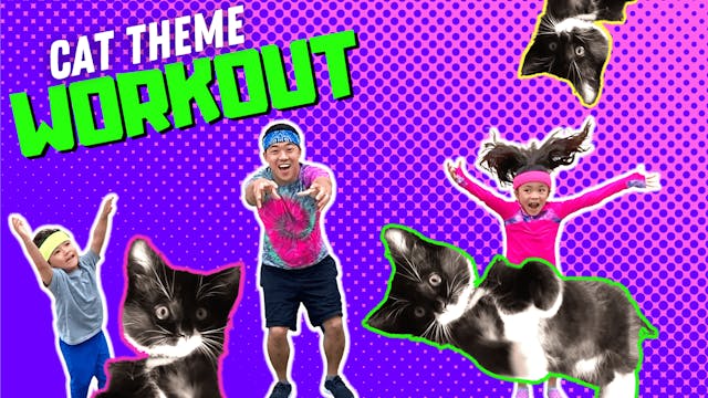 Cat Workout