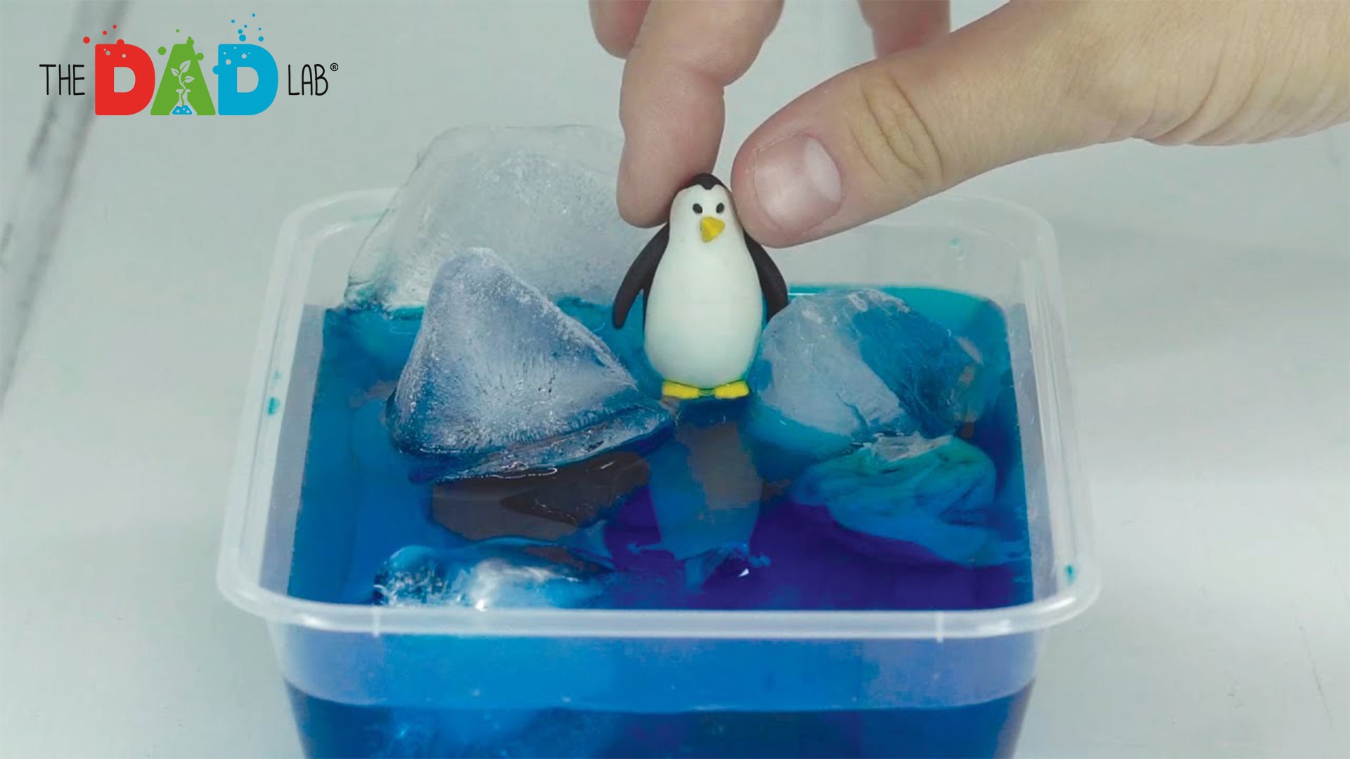 Melting Ice Experiment | Discover How Ice Impact