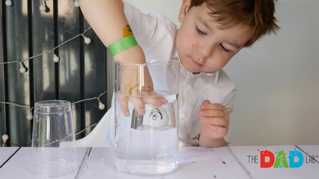 Ping Pong Ball Science Experiment Wit...