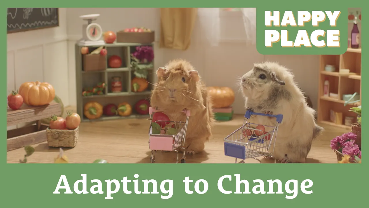 Adapting to Change - Happy Place - Yippee - Faith filled shows!