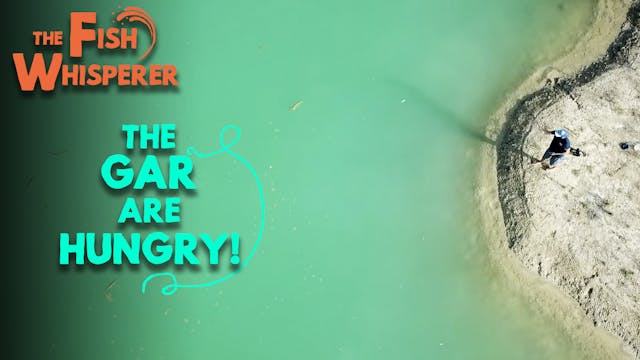 The Gar Are Hungry!