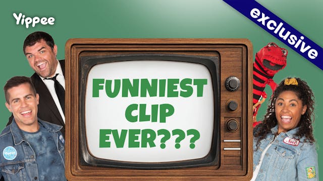 We ranked the FUNNIEST animal videos ...