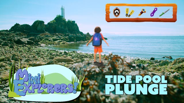 Tide Pool Plunge