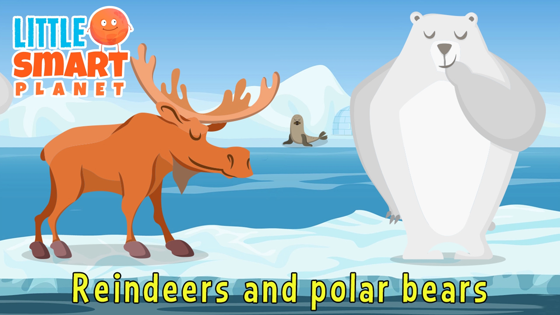 Wild Animals: The Song