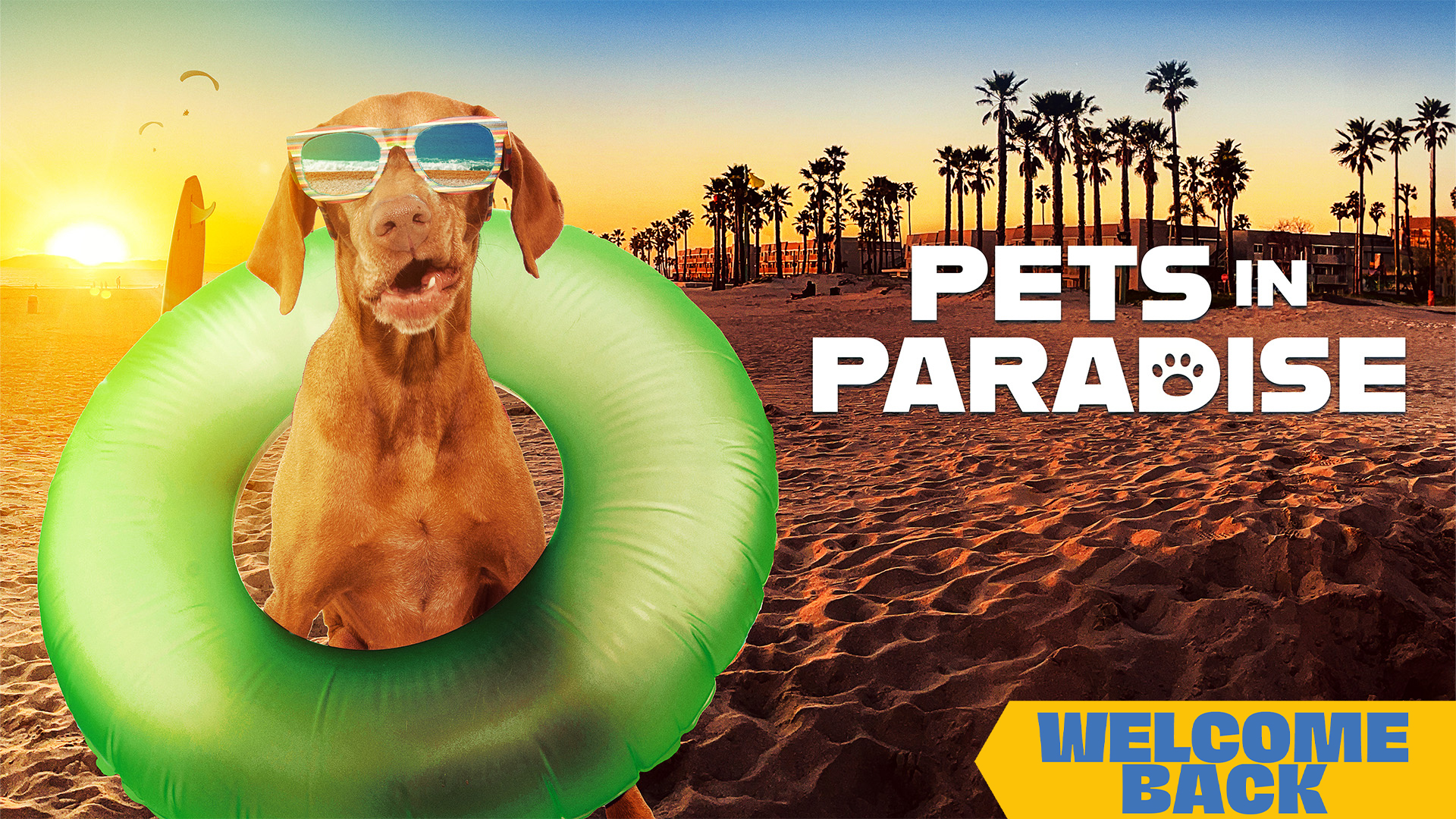 Pets in Paradise TV