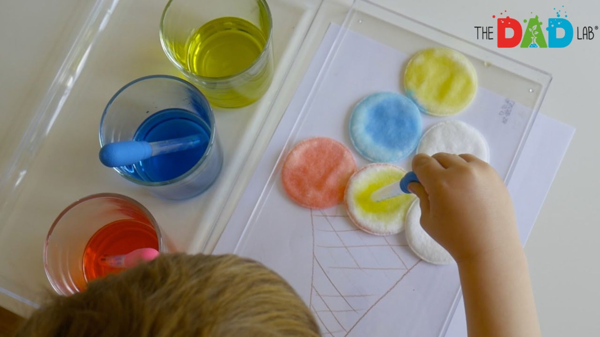 Simple Fine Motor Skills Activity For Children