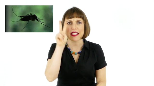 Mosquito One, Mosquito Two by Alina C...