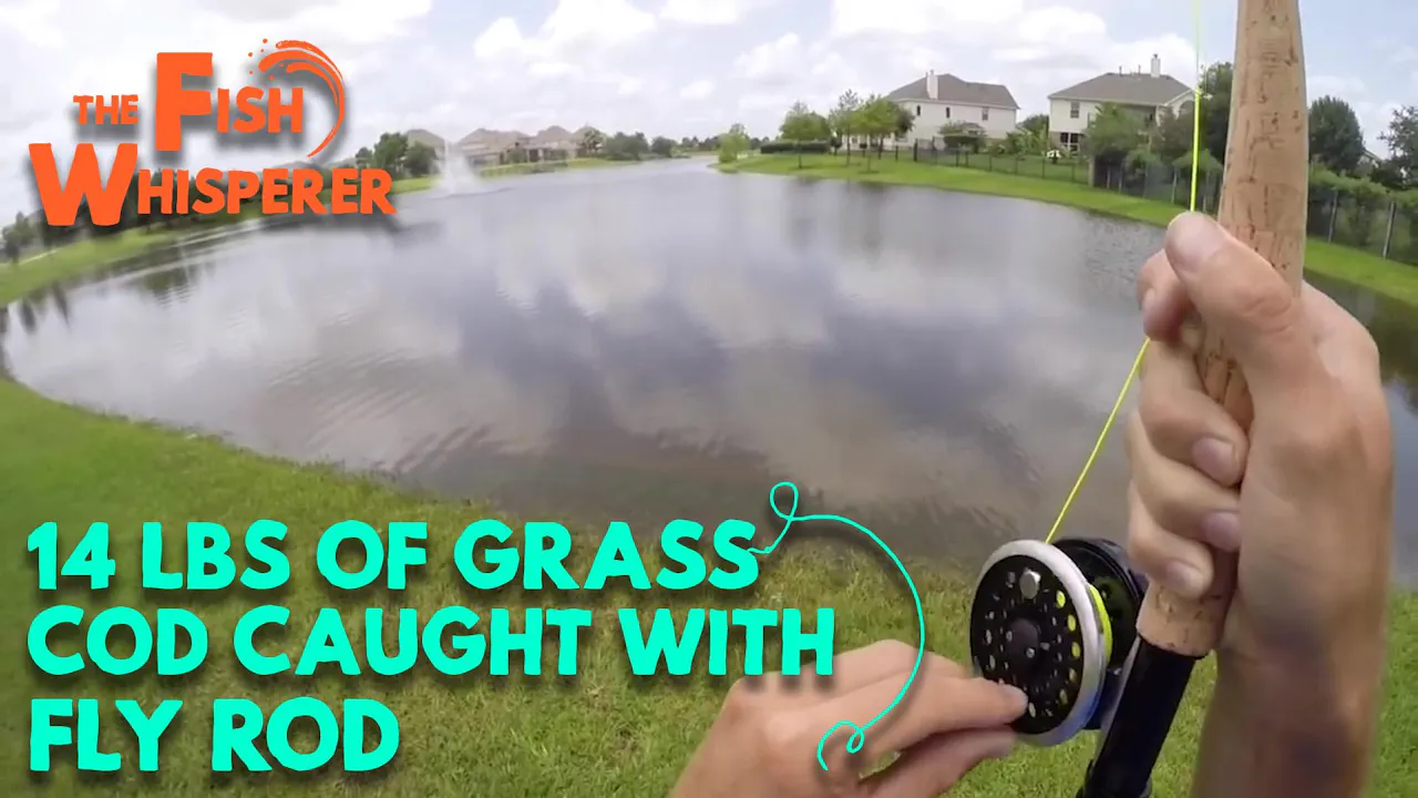 14lb Grass Carp Caught with a Fly Rod - The Fish Whisperer - Yippee ...