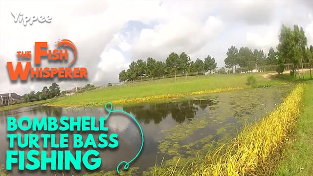 Bombshell Turtle Bass Fishing