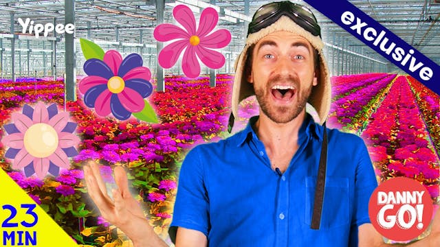 GIANT GREENHOUSE!  | Only On Yippee!
