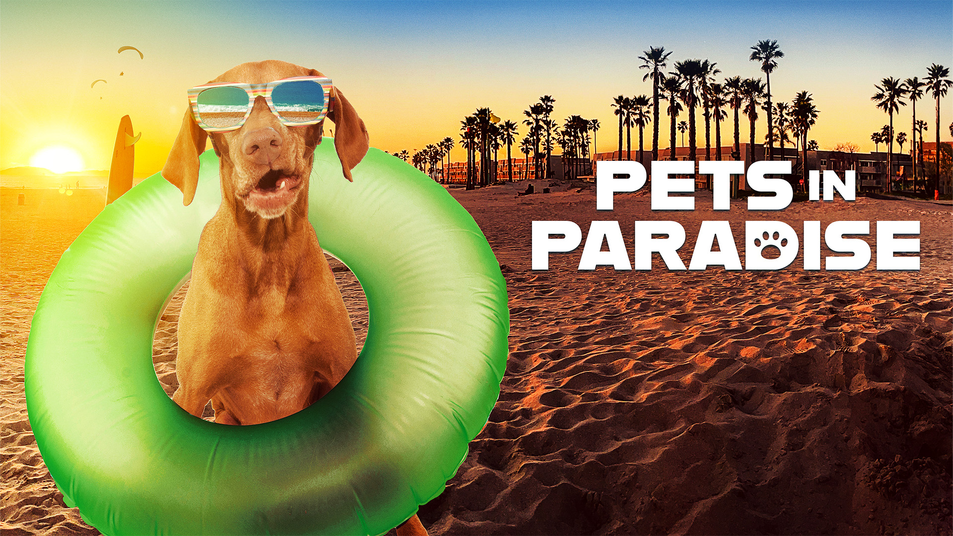 Pets in Paradise TV