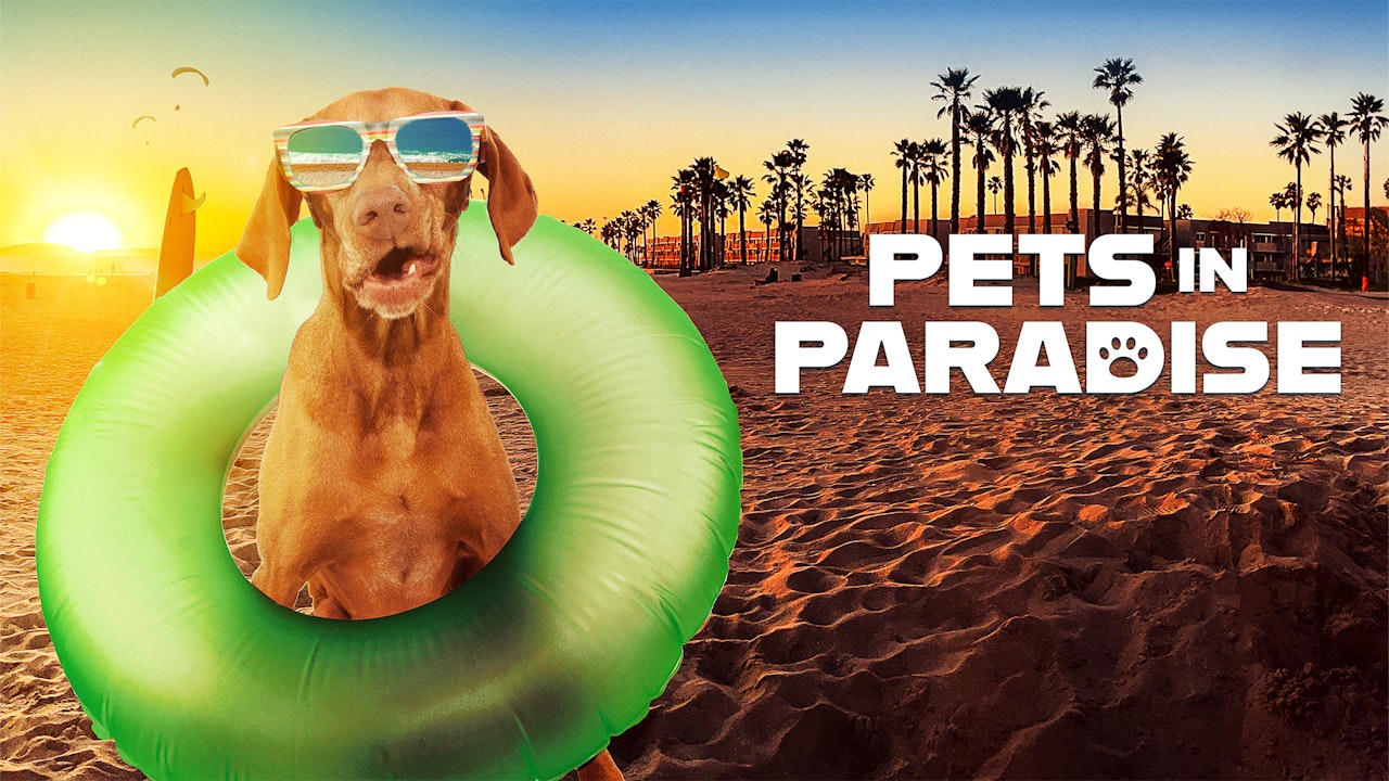 Pets in Paradise TV