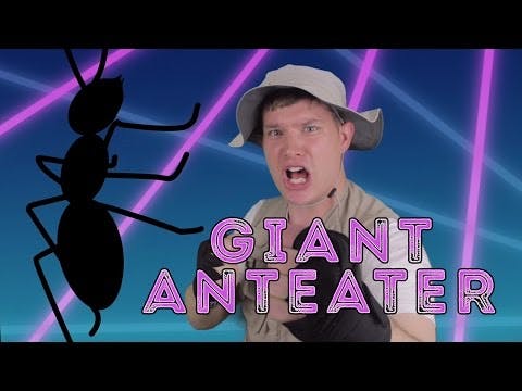 Giant Anteater - Animal Facts 