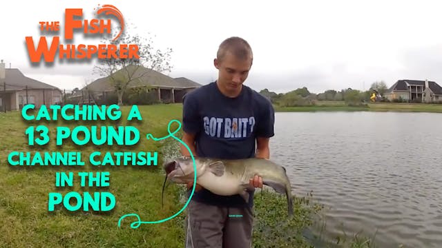 Catching A 13 Pound Channel Catfish i...