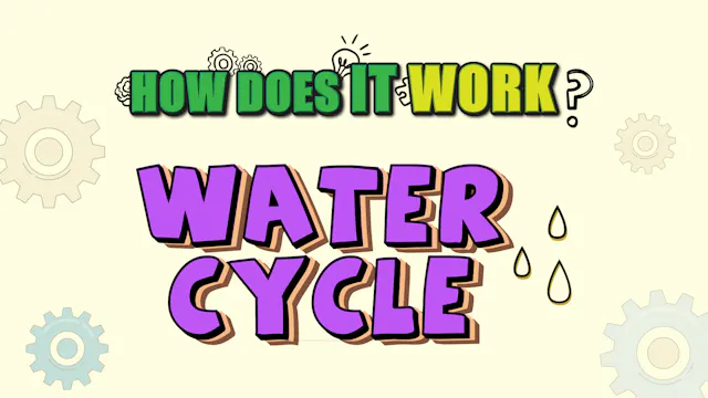 How Does it Work? - Water Cycle