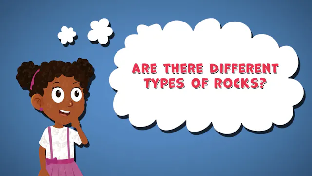 I WONDER - Are There Different Types ...