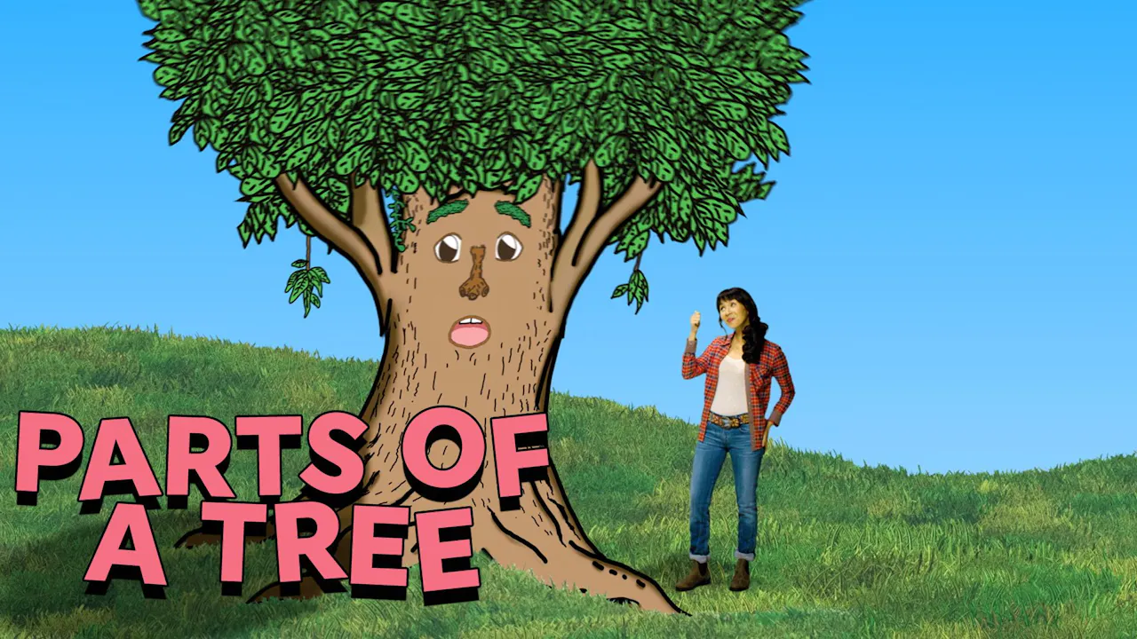 Parts of a Tree - Ginalina's Music Club - Yippee - Faith filled shows!