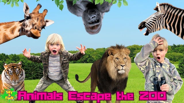 Animals Escape the Zoo