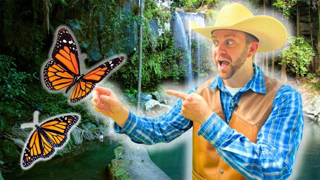 Let's Visit a Butterfly Sanctuary!