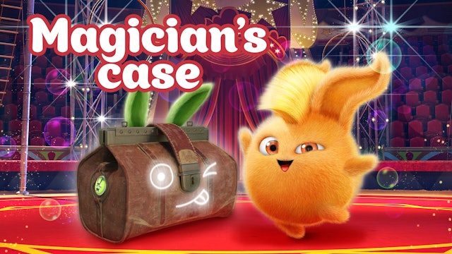 Magician's Suitcase