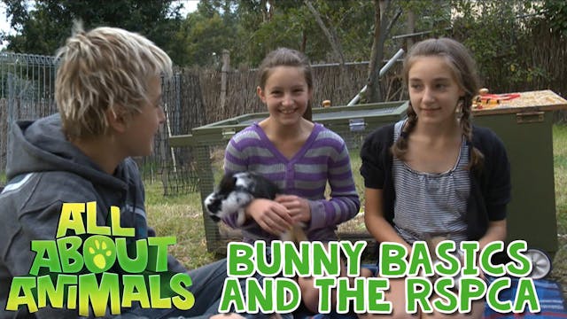 Bunny Basics and the RSPCA