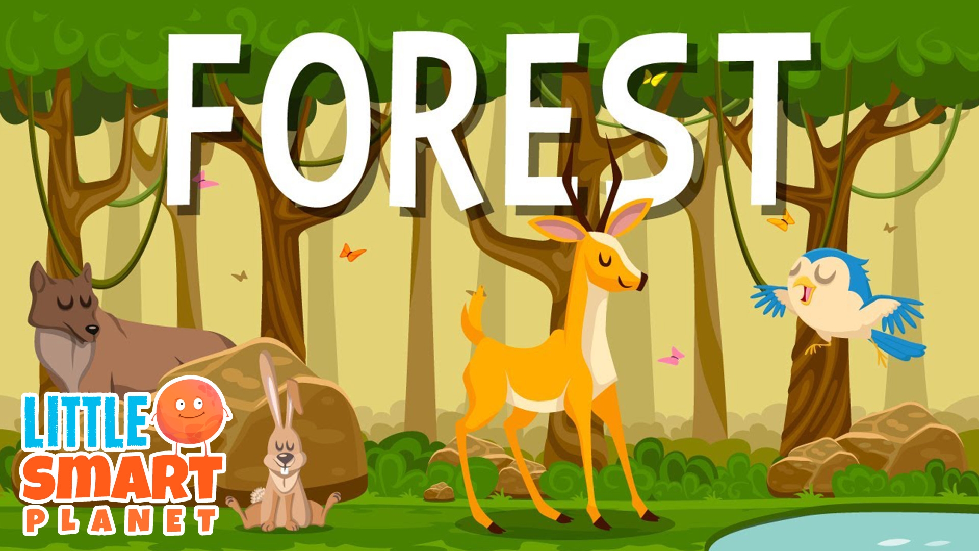 Wild Animals Habitats