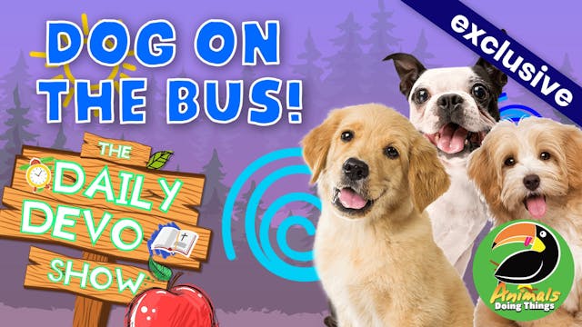 #366 - Dog On The Bus!