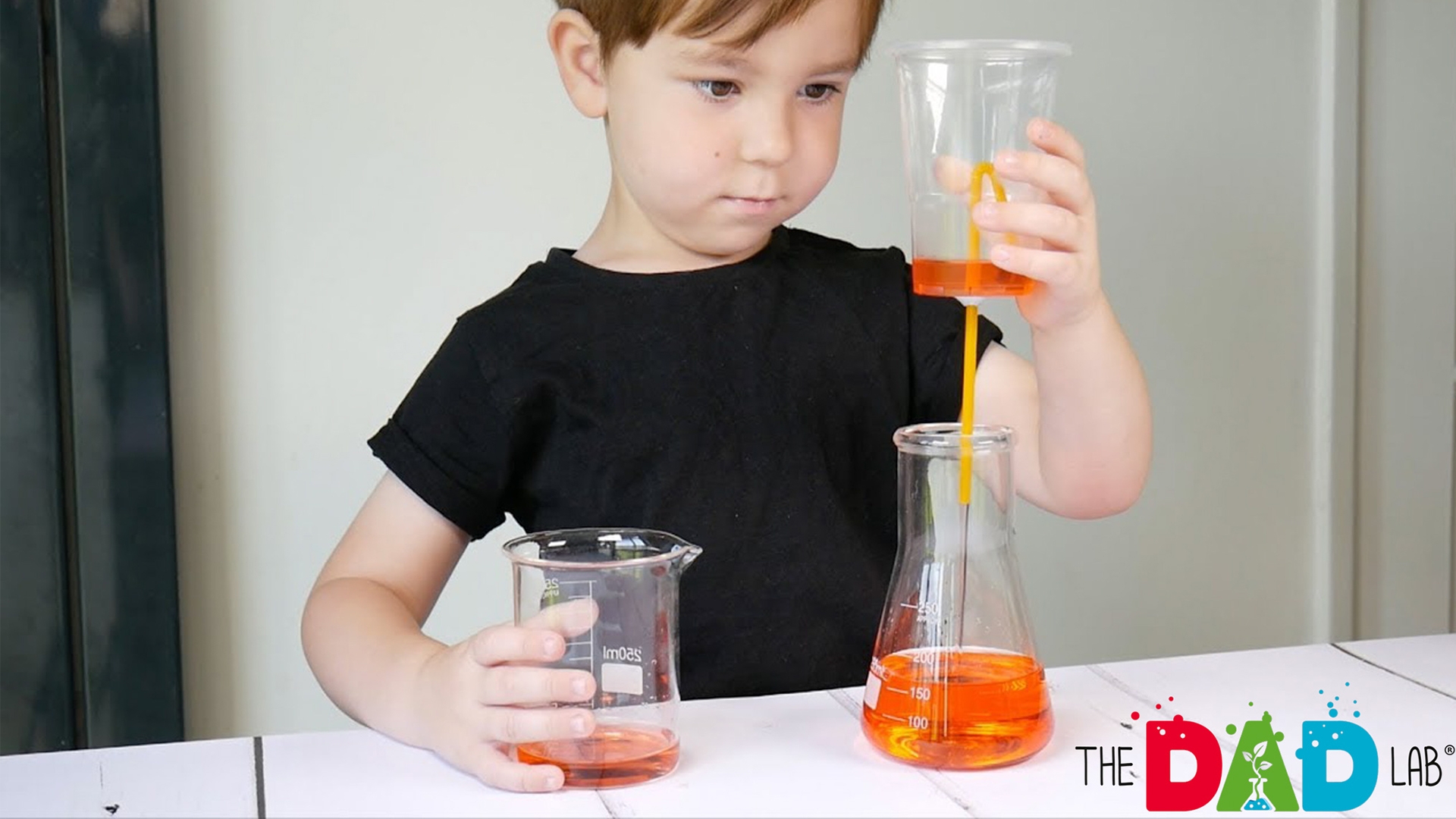 How To Make A Pythagoras Cup