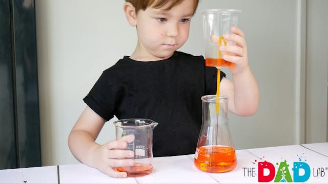 How To Make A Pythagoras Cup