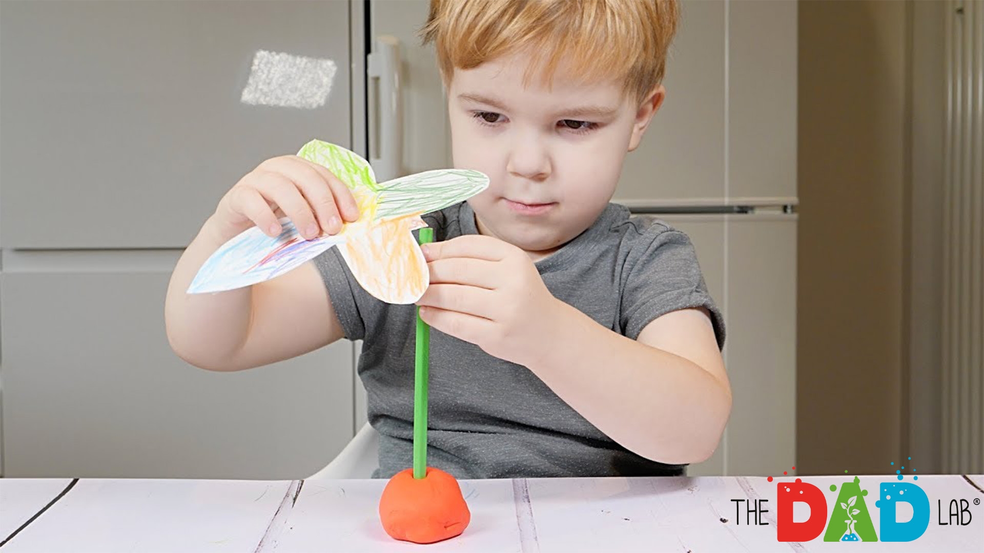 How To Make A Balancing Butterfly