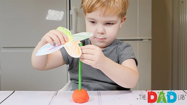 How To Make A Balancing Butterfly