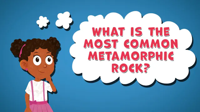 I WONDER - What Is The Most Common Me...
