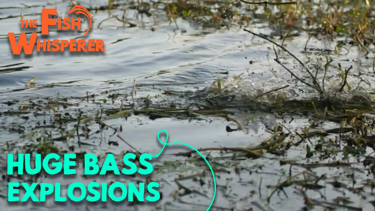 Huge Bass Explosions! - The Fish Whisperer - Yippee - Faith filled shows!