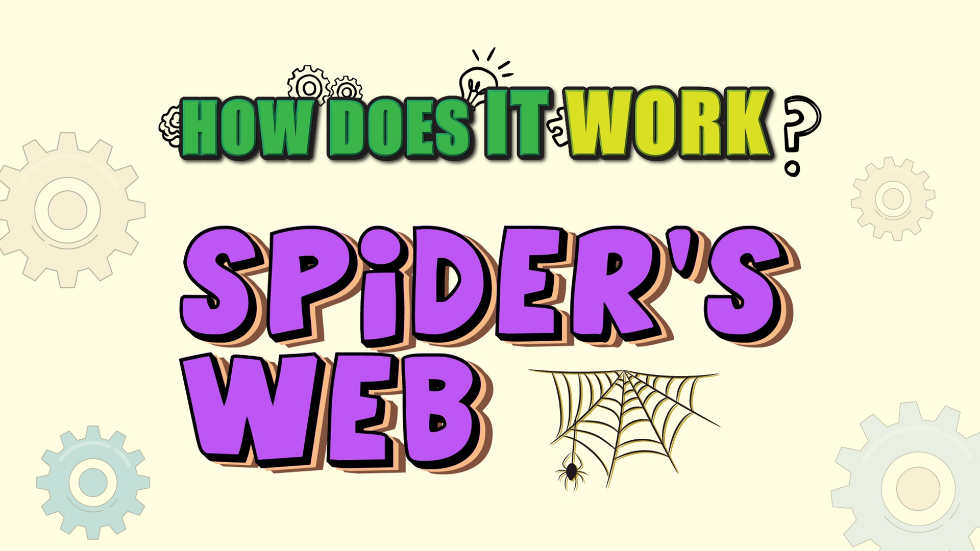 How Does it Work? - Spider's Web