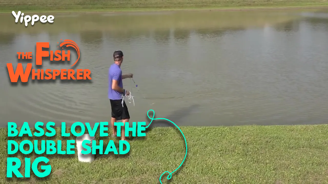 Bass Love the Double Shad Rig! - The Fish Whisperer - Yippee - Faith ...