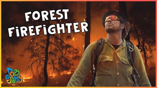 Forest Firefighter