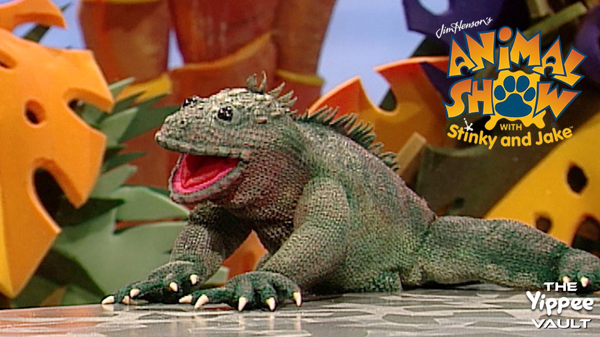 Marine Iguana & Roadrunner