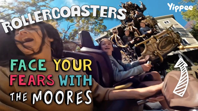  The Moores - Rollercoasters