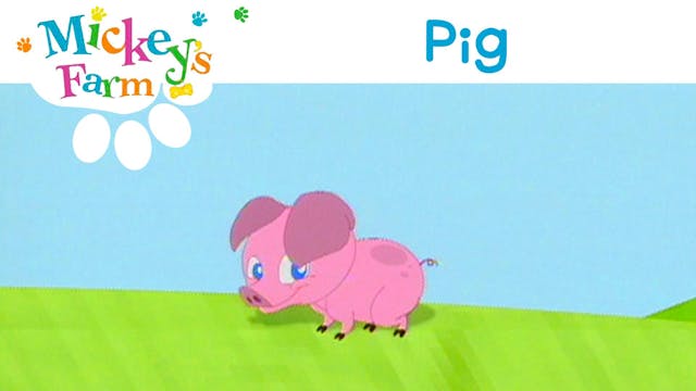 Pig