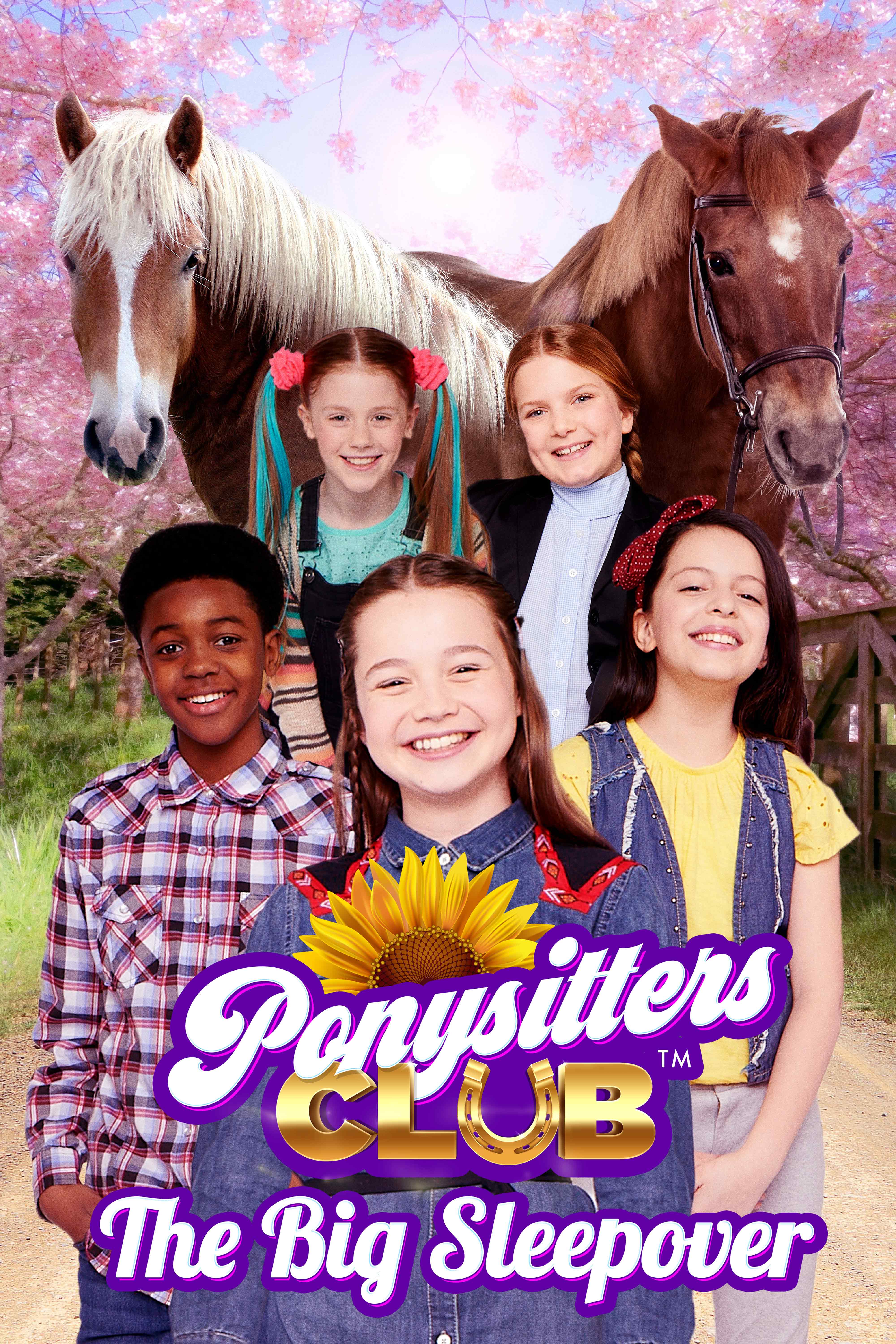 Ponysitter's Club: The Big Sleepover