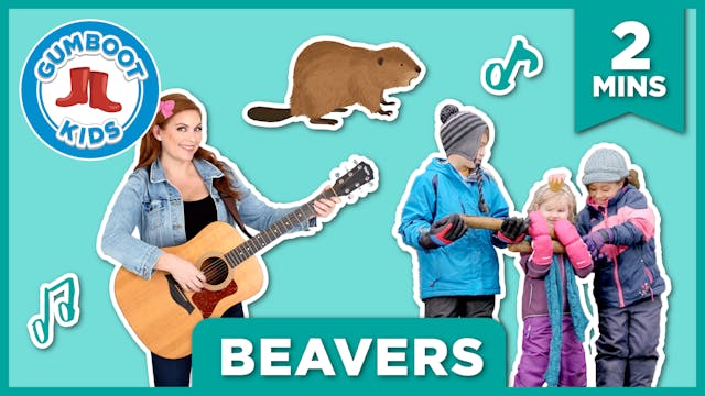 Episode 12 | Beavers
