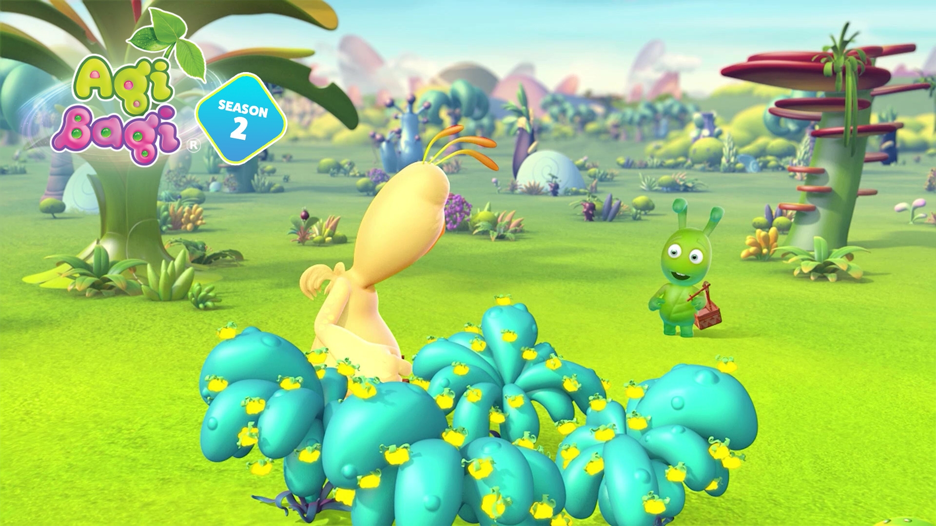 Berries And Mushrooms