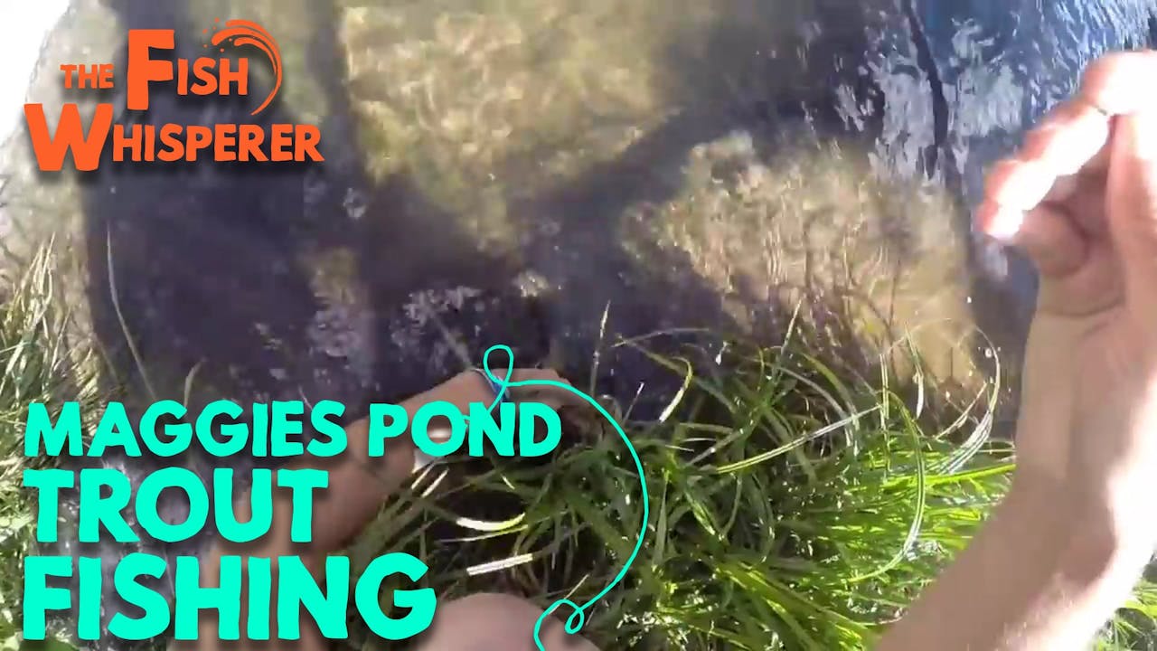 Maggie's Pond Trout Fishing Breckenridge Colorado Season 1 Yippee