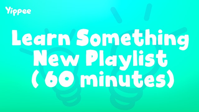 Learn Something New Playlist (60 Minutes)