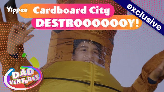 Cardboard City DESTROOOOOOY!