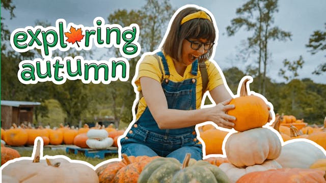 Exploring Autumn